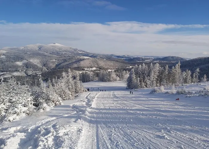 Dom U Michaela Korbielów
